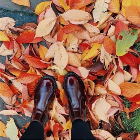 vegan 2976 chelsea boots cherry